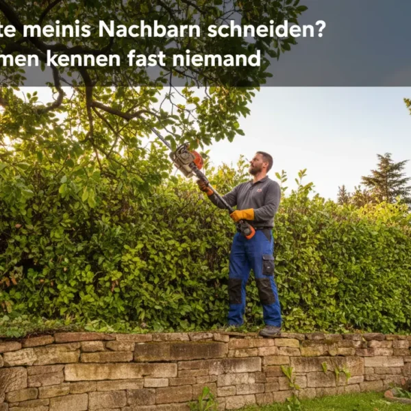 Darf ich die Äste meines Nachbarn schneiden? Diese 3 Ausnahmen kennen fast niemand